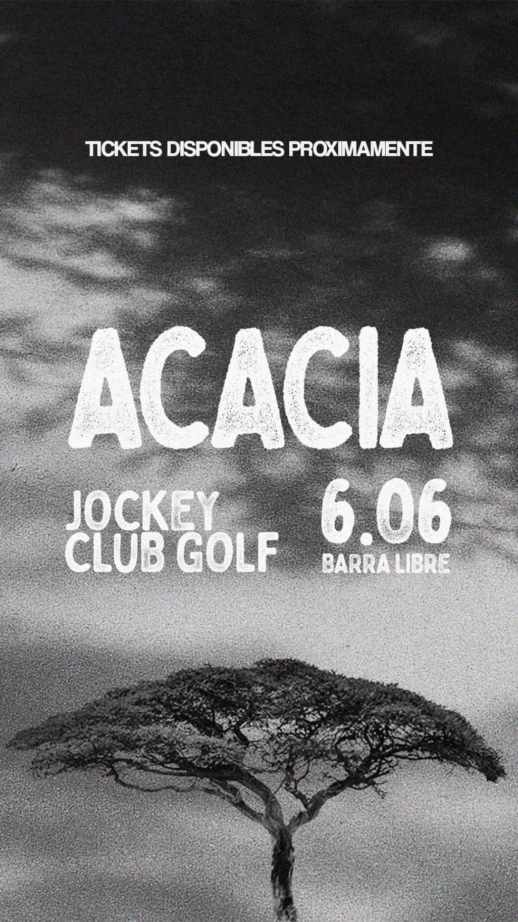 Acacia