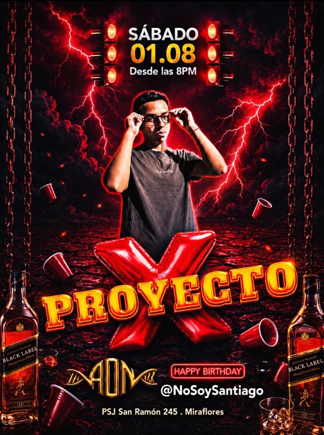 PROYECTO X